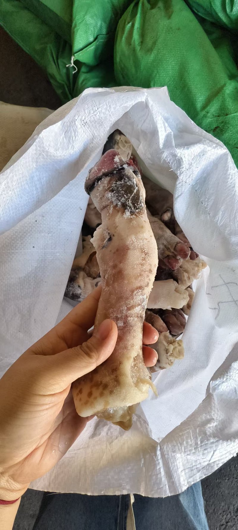 花羊蹄