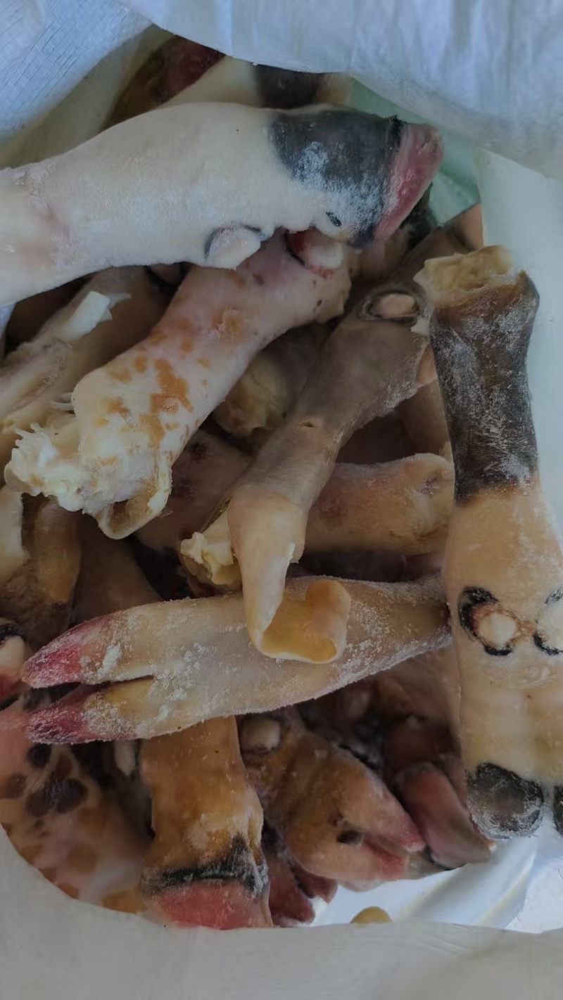 花羊蹄