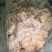 牛杂油