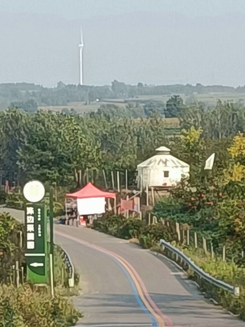 晚秋黄梨