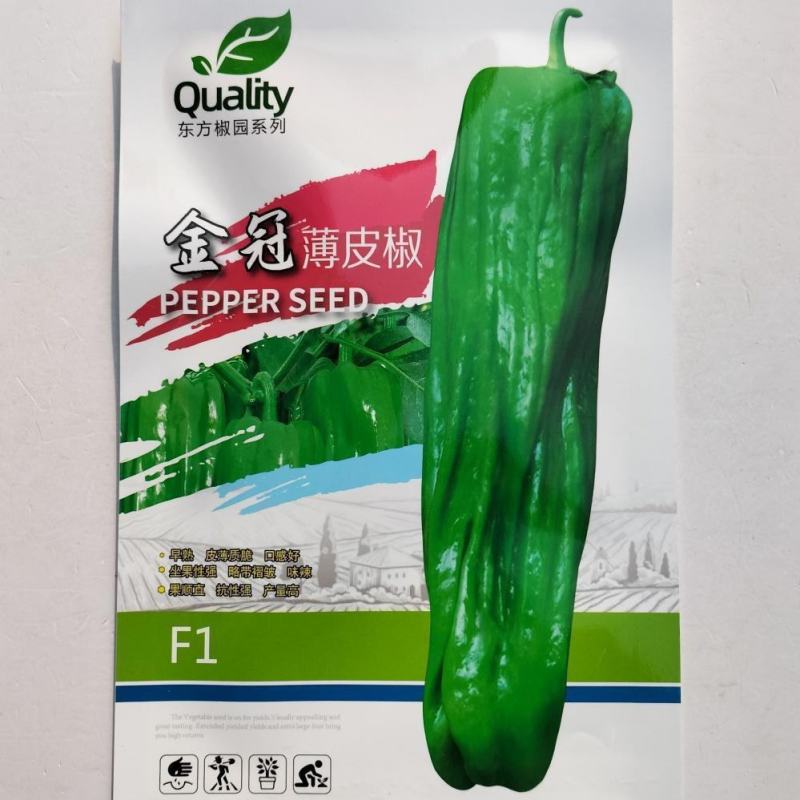 金冠薄皮椒种子泡椒种籽南北方大棚露地春秋季播蔬菜