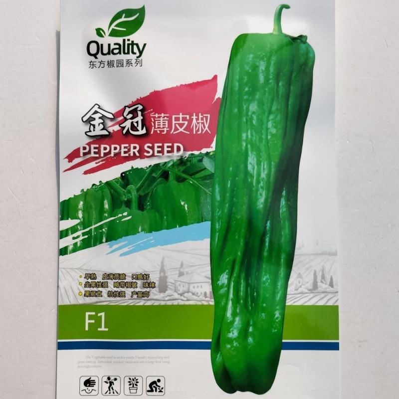 金冠薄皮椒种子泡椒种籽南北方大棚露地春秋季播蔬菜