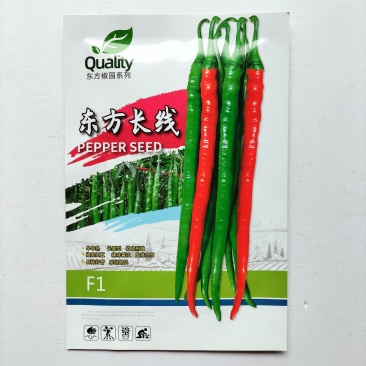东方长线辣椒种子早中熟长线椒种籽辣味香浓春秋播种蔬菜辣椒