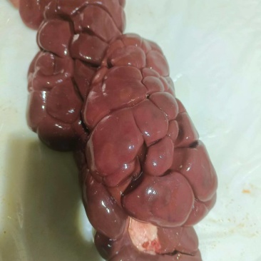 牛腰