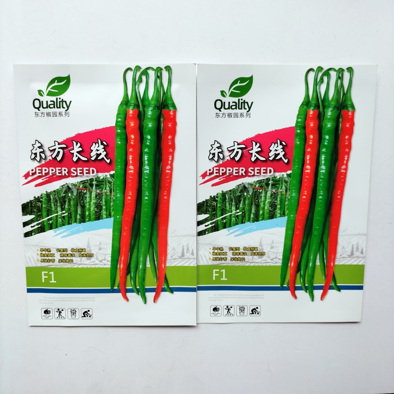东方长线辣椒种子早中熟长线椒种籽辣味香浓春秋播种蔬菜辣椒