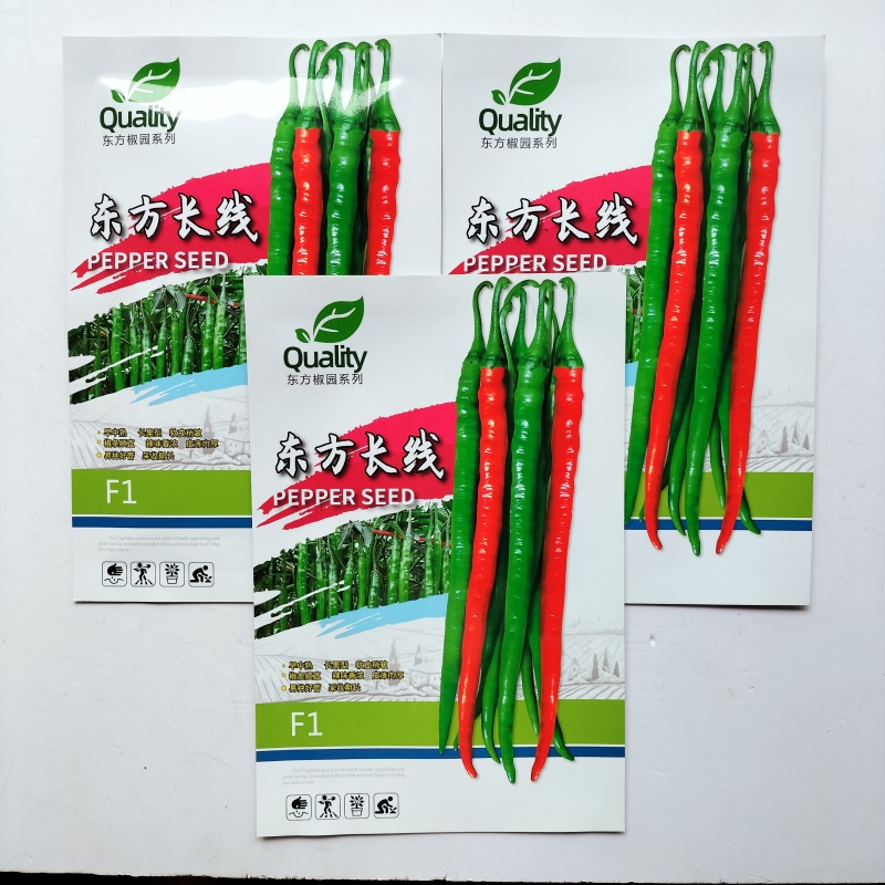 东方长线辣椒种子早中熟长线椒种籽辣味香浓春秋播种蔬菜辣椒
