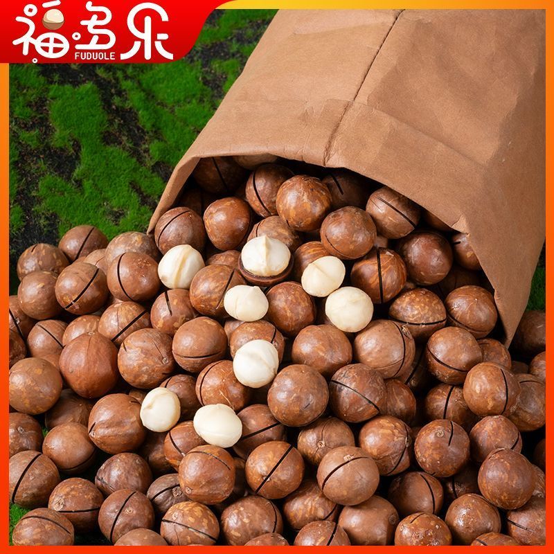 【当季新货】夏威夷坚果新货颗粒进口夏威夷果奶香味大果
