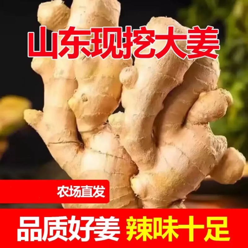 山东大姜姜优质农产品电商货市场货一件代发