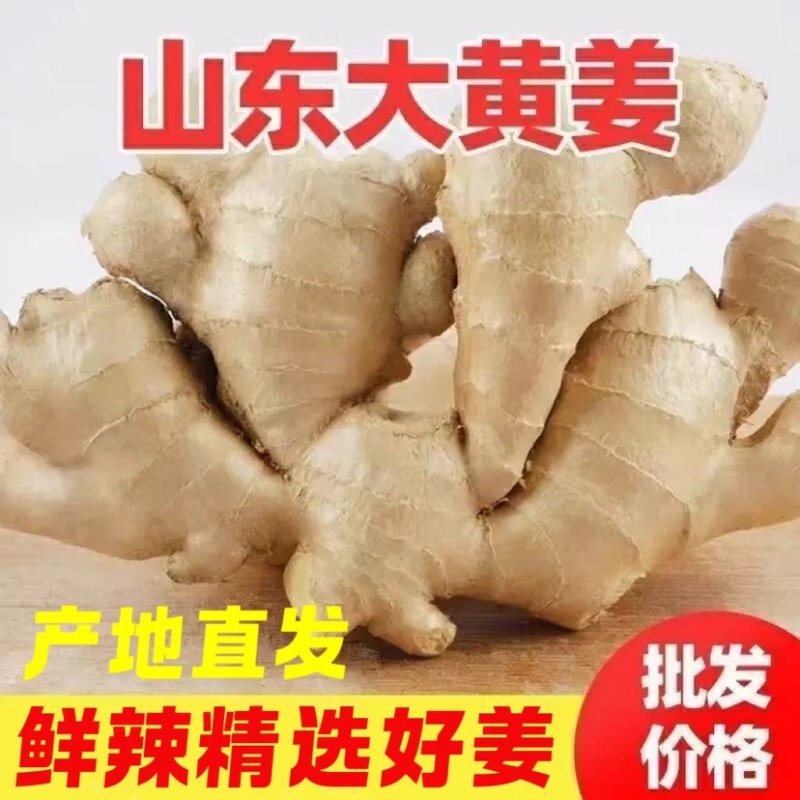 山东大姜姜优质农产品电商货市场货一件代发