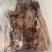熟牛头肉去油去淋巴真空独立包装，纯干货证件齐全