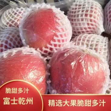 红富士苹果【纸加膜】优质精品苹果【四宝皇品】原产地发货