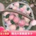 红富士苹果【纸加膜】优质精品苹果【四宝皇品】原产地发货