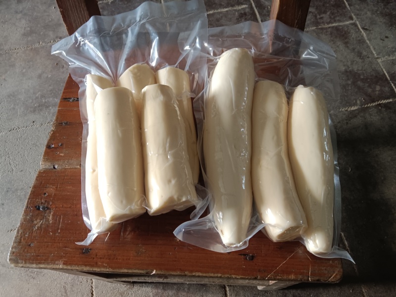广东江门大量供应黄肉木薯产地直发规格齐全