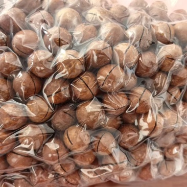 夏威夷果/每日坚果/一件代发/市场整车/原料/代包装