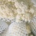 菜花陕西精品散花松花菜产地一手货源价格便宜欢迎购