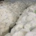 菜花陕西精品散花松花菜产地一手货源价格便宜欢迎购