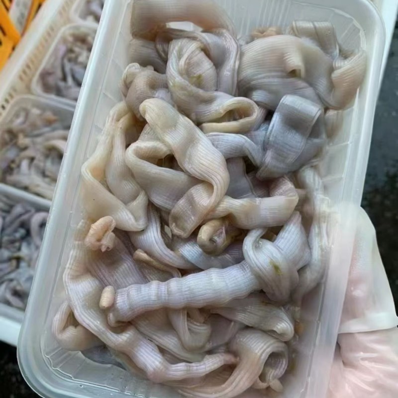 大沙虫清洗完盒装半斤一盒酒店专用**量大的来