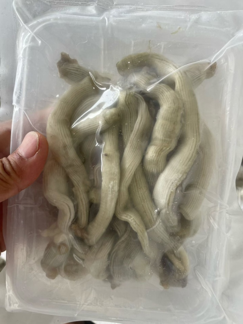 大沙虫清洗完盒装半斤一盒酒店专用**量大的来