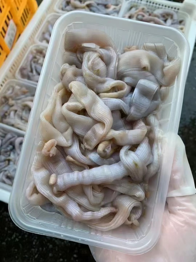大沙虫清洗完盒装半斤一盒酒店专用**量大的来