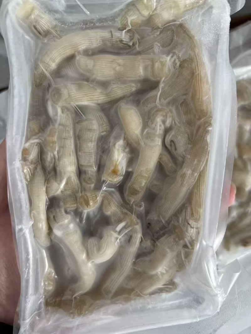 大沙虫清洗完盒装半斤一盒酒店专用**量大的来