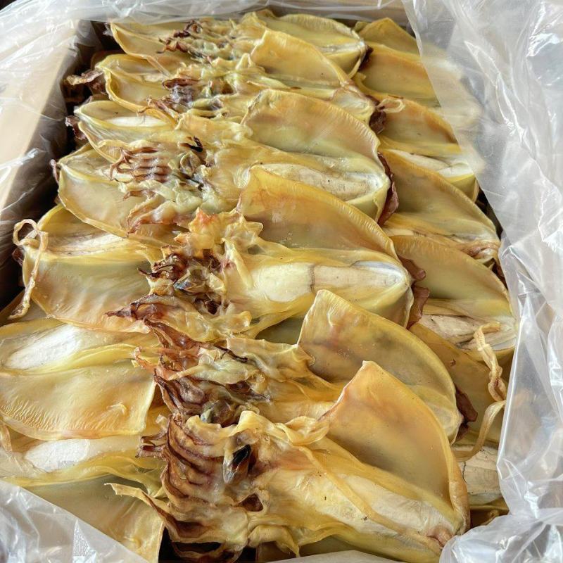 墨鱼干