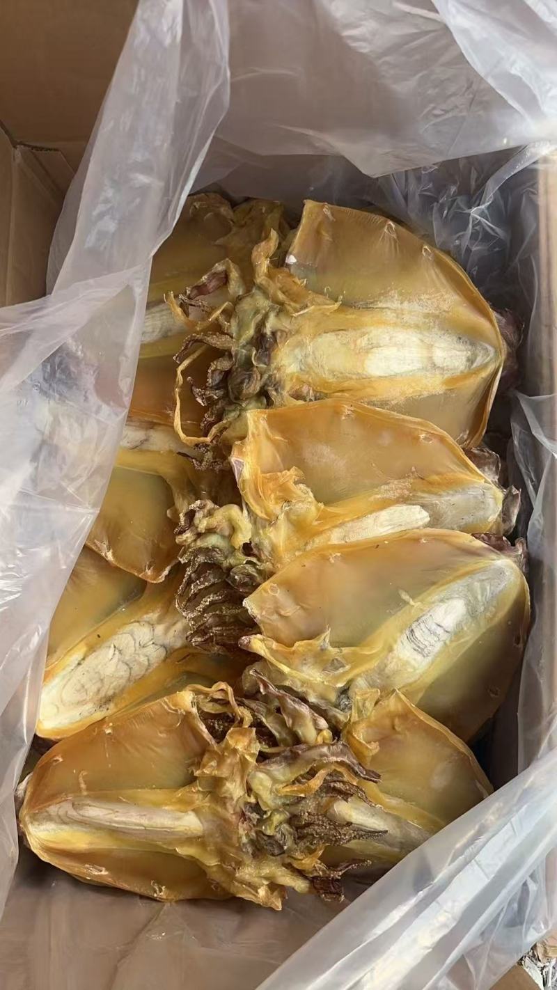 墨鱼干