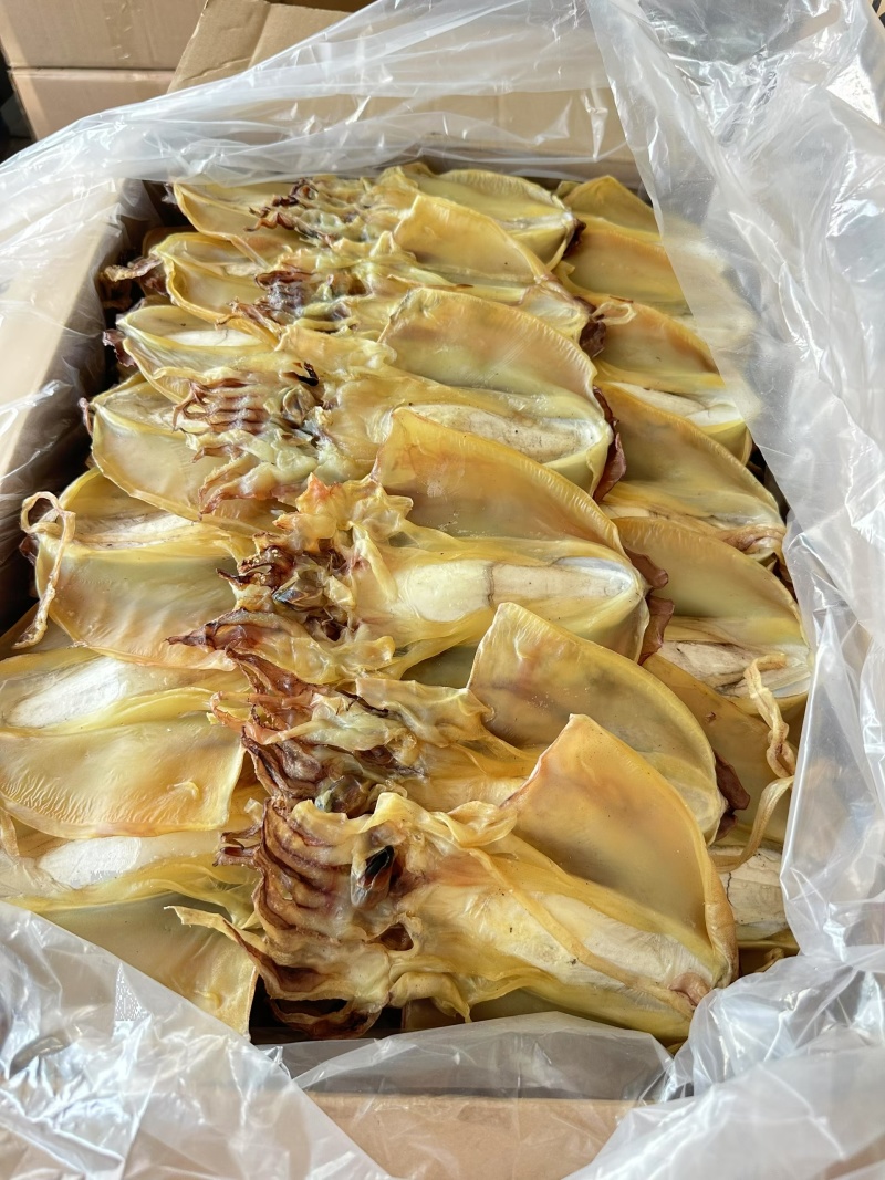墨鱼干