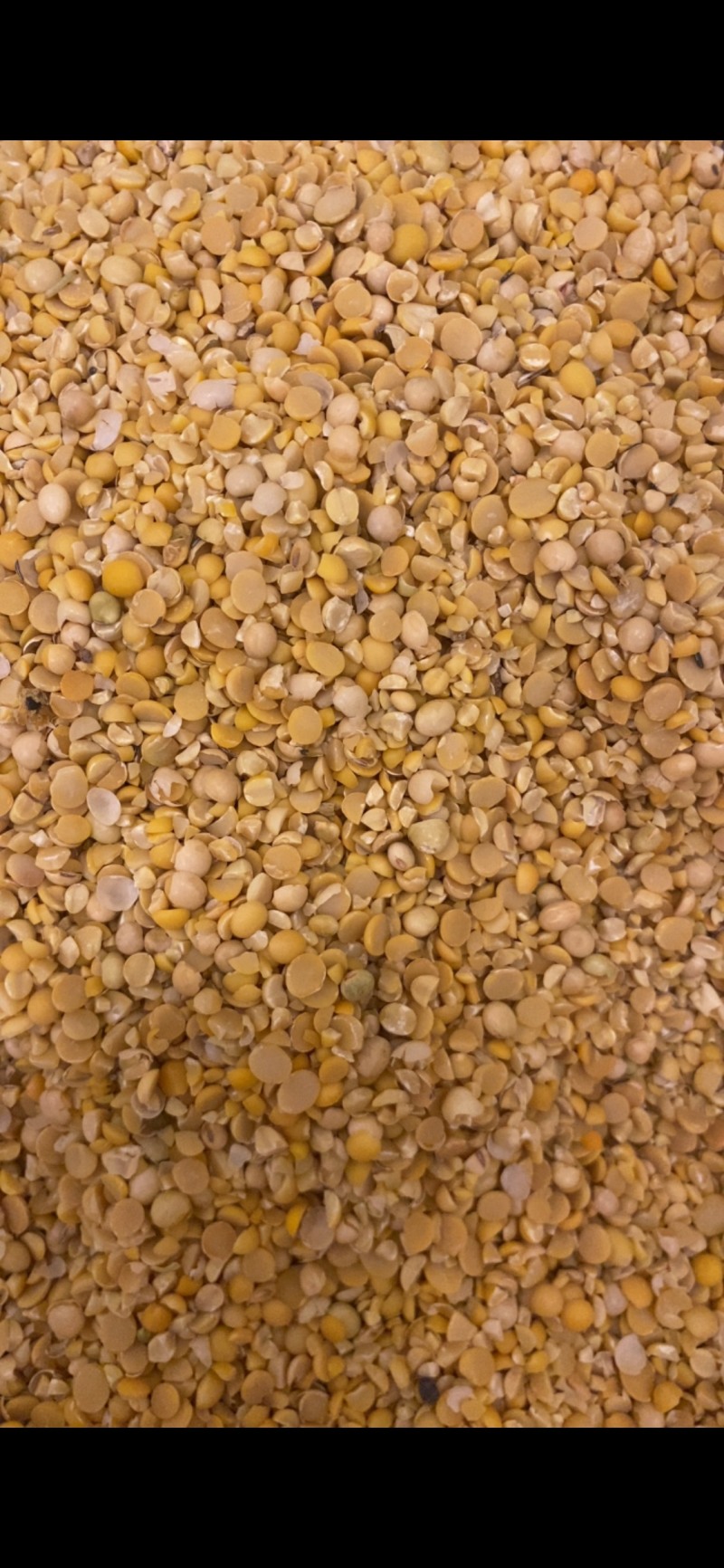 碎黄豆瓣