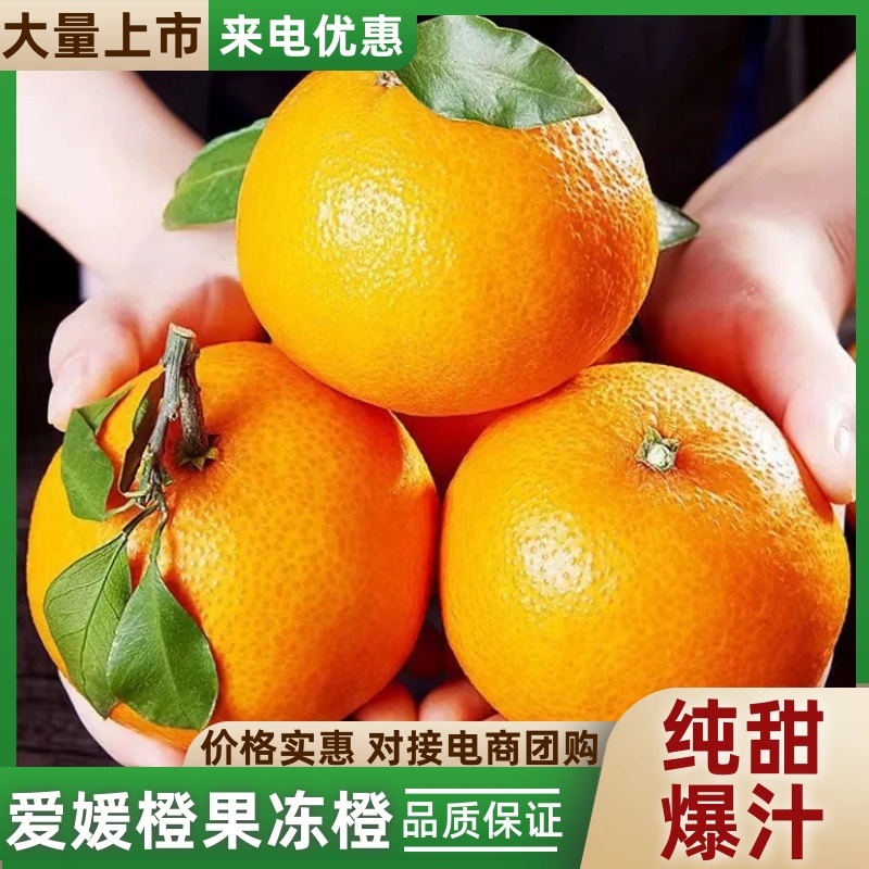 爱媛38号果冻橙，产地直供，质量有保证价格实惠。