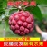云南黑老虎大量上市