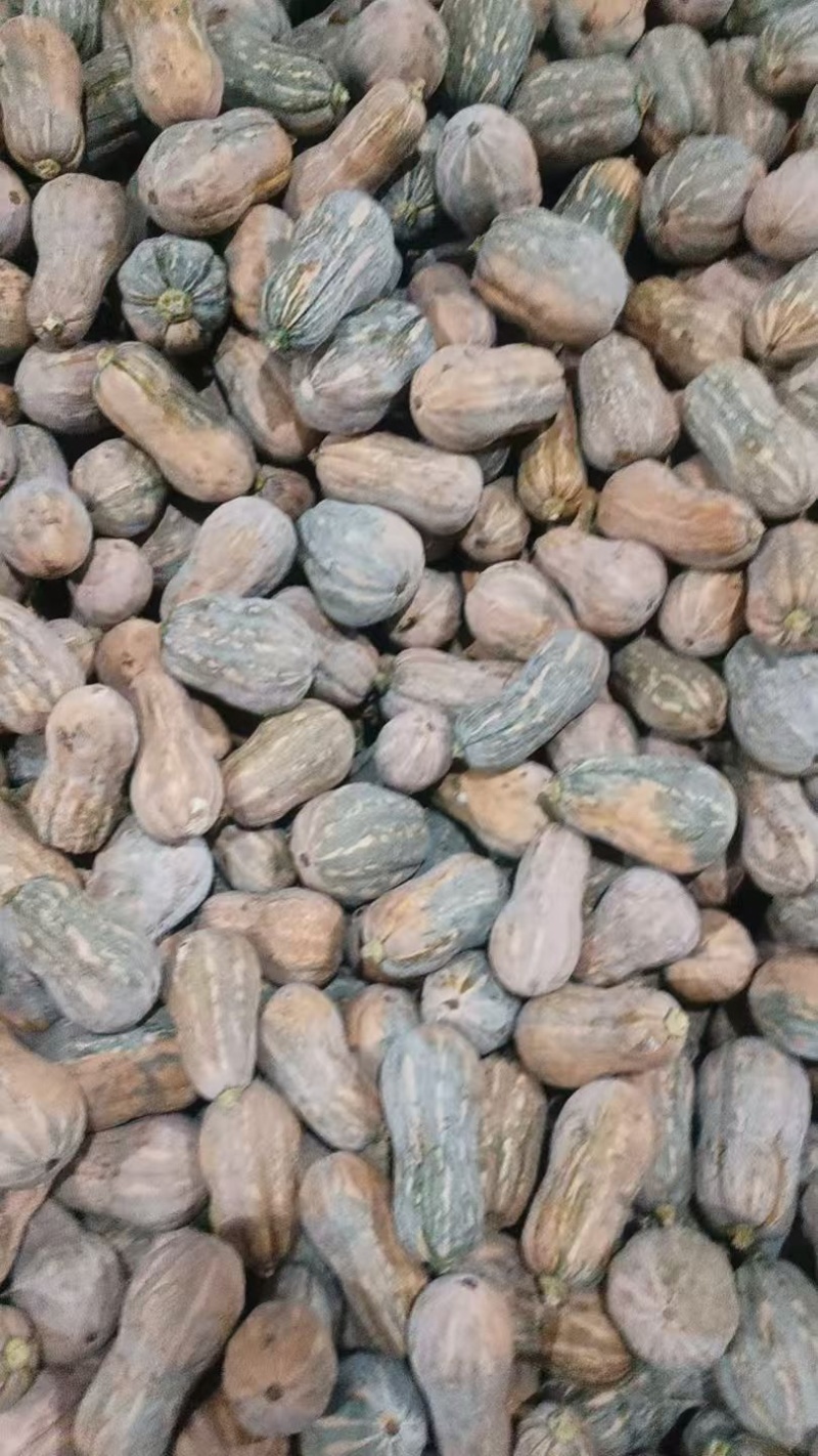 南瓜金香南瓜花生南瓜现摘现发一手货源欢迎咨询