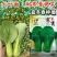 耐寒青菜种子寒秀耐低温露地越冬大叶面圆叶青梗菜冬春蔬菜种