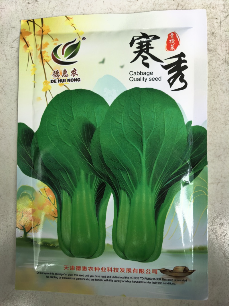 耐寒青菜种子寒秀耐低温露地越冬大叶面圆叶青梗菜冬春蔬菜种