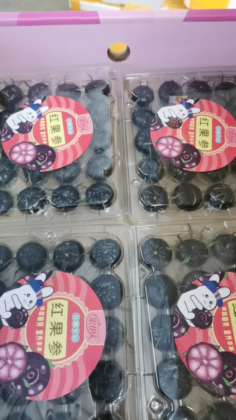 马关红果参种植基地500亩大量供应商超市场