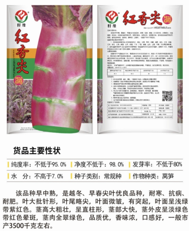红香尖莴笋种子四川红叶莴笋绿肉莴苣种子耐寒香莴笋种籽