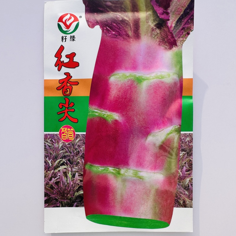 红香尖莴笋种子四川红叶莴笋绿肉莴苣种子耐寒香莴笋种籽