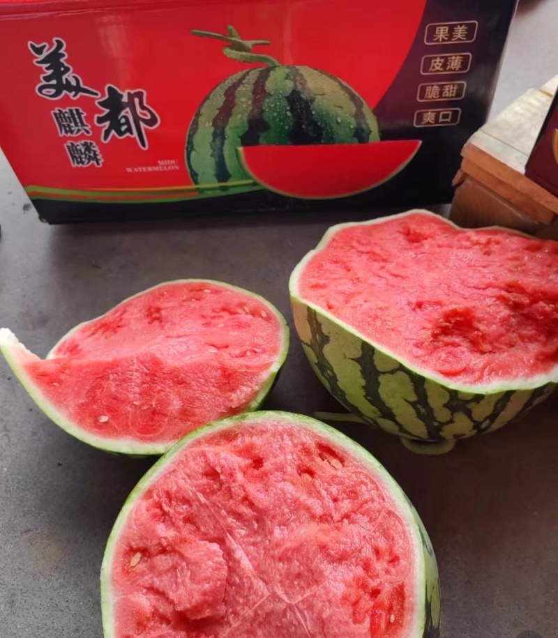 麒麟美都西瓜云南西瓜产地一手货源，规格齐全，代发全国