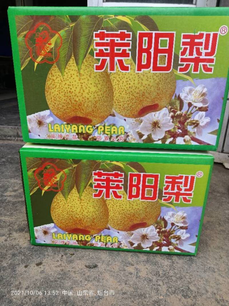 出售正宗莱阳芦儿港梨
