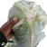 湖北精品甘蓝扁包菜产地直供量大从优价格实惠欢迎