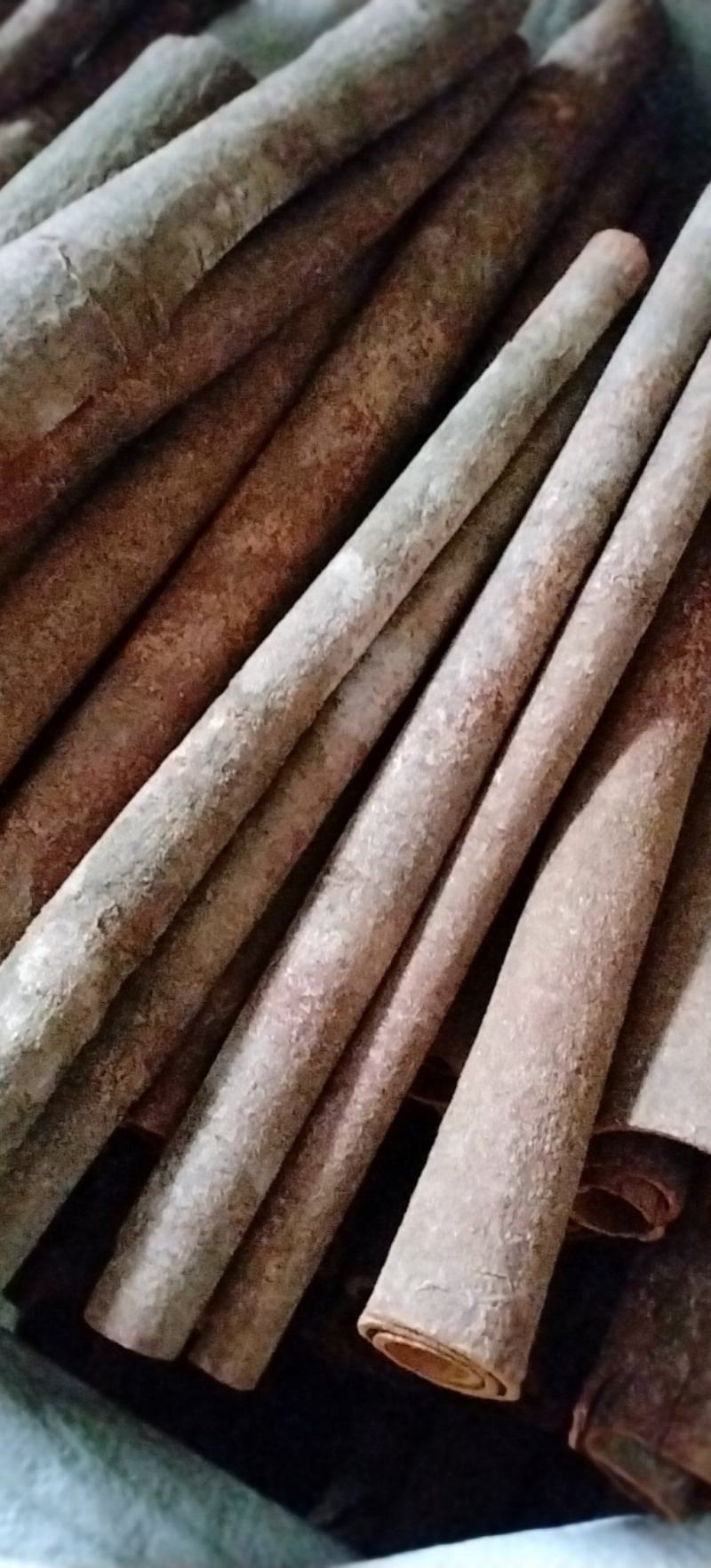 刮皮桂通黑桂皮桂碎，产地直供，工厂商超电商量大谈价