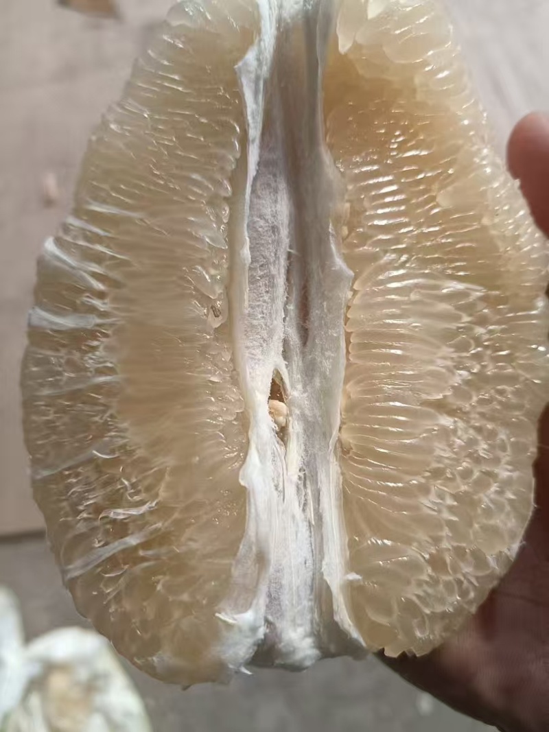 红心柚品质保证服务周到产地直发价格美丽欢迎联系