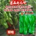 豫艺墨玉新元帅辣椒种子早熟薄皮泡椒种子大果苏椒种籽皮薄