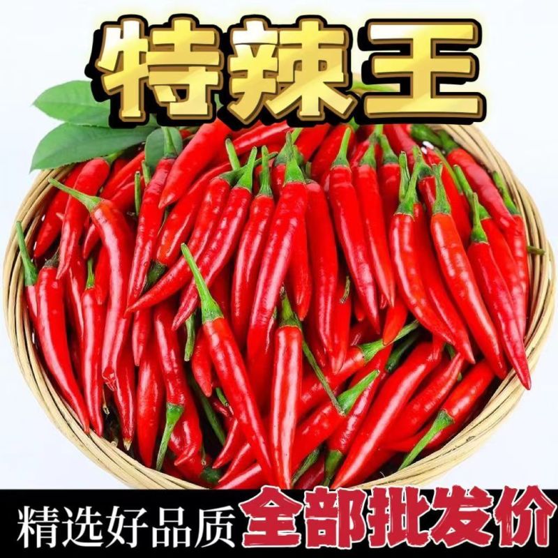 精品小米红尖椒电商货超市加工厂各大市场品质有保障需要联系