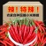 精品小米红尖椒电商货超市加工厂各大市场品质有保障需要联系