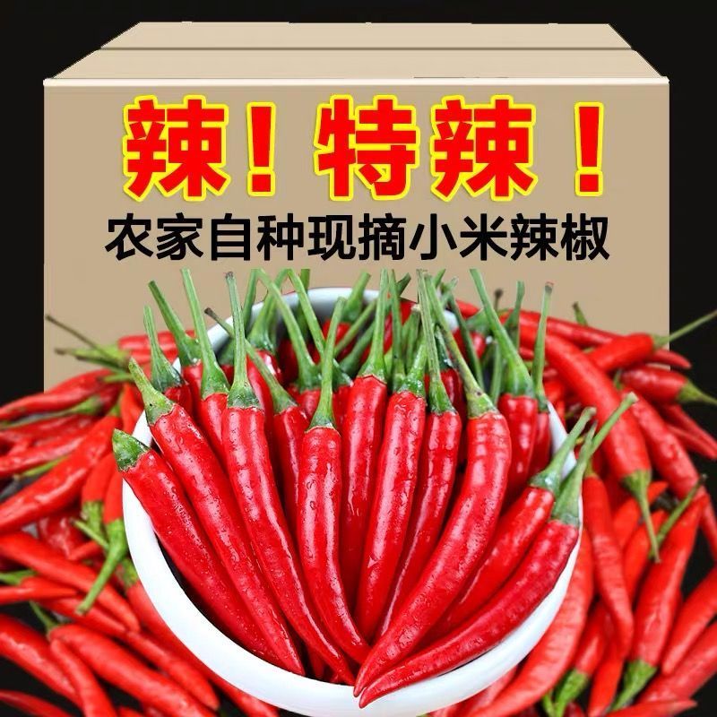 精品小米红尖椒电商货超市加工厂各大市场品质有保障需要联系