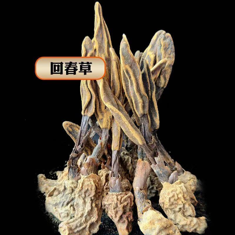 正品八件套泡酒料肉苁蓉淫羊藿锁阳回春草牛大力金樱子石头果