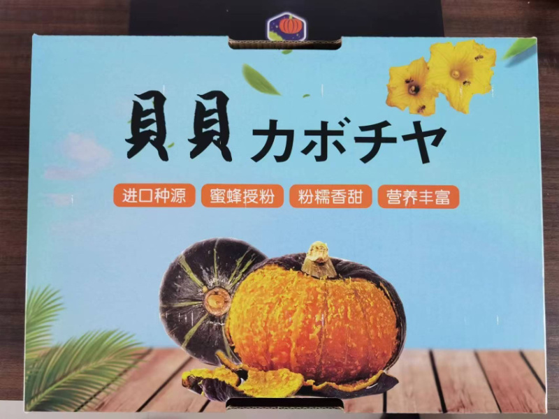高品质贝贝南瓜全网一件代发对接各大电商平台，欢迎电联