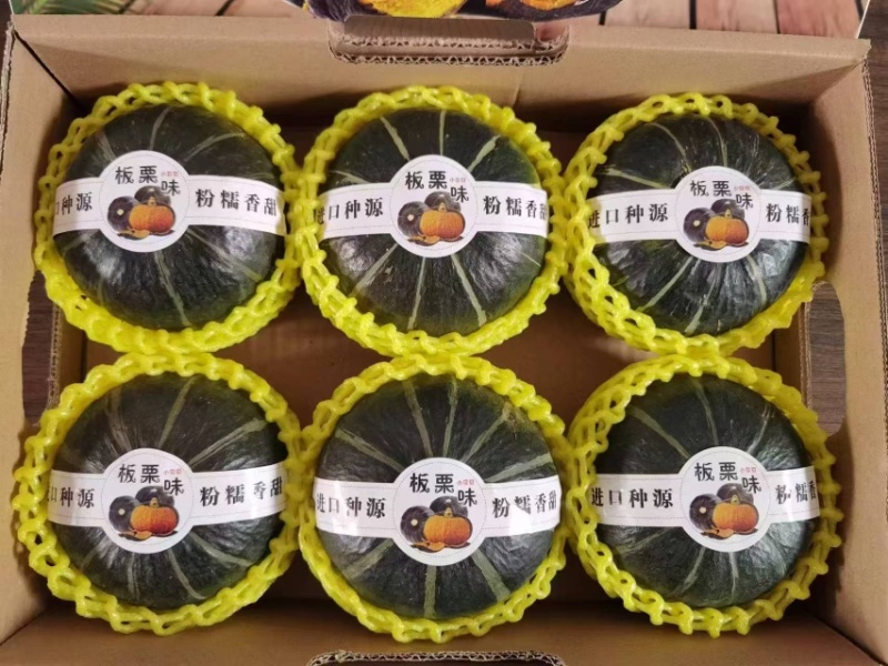 高品质贝贝南瓜全网一件代发对接各大电商平台，欢迎电联