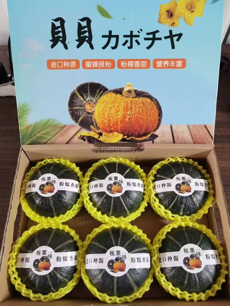 高品质贝贝南瓜全网一件代发对接各大电商平台，欢迎电联