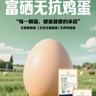 福心康泰~用一颗真诚的心做一枚健康安全的蛋，幸福千万家，